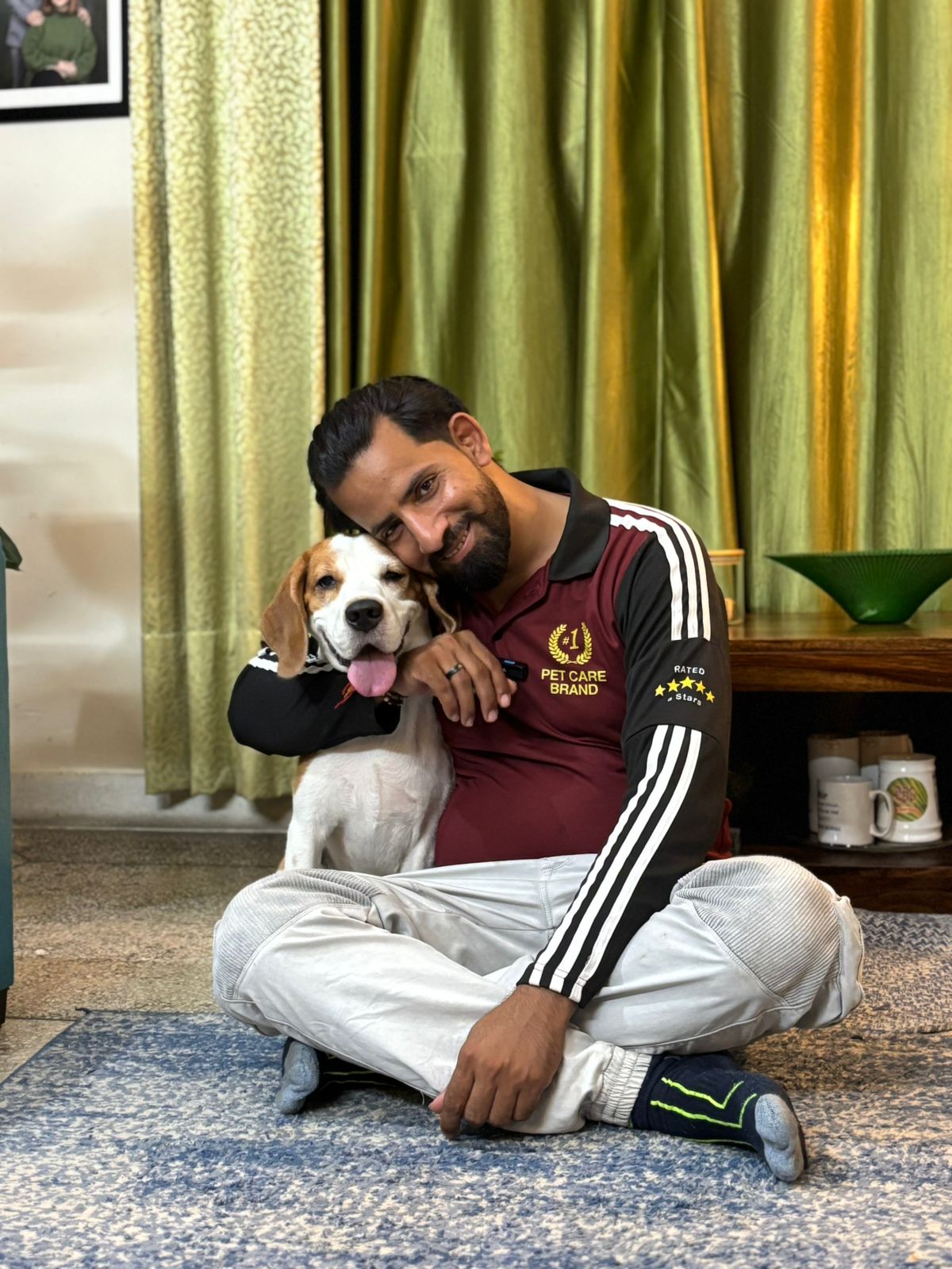 Expert trainer working with a dog